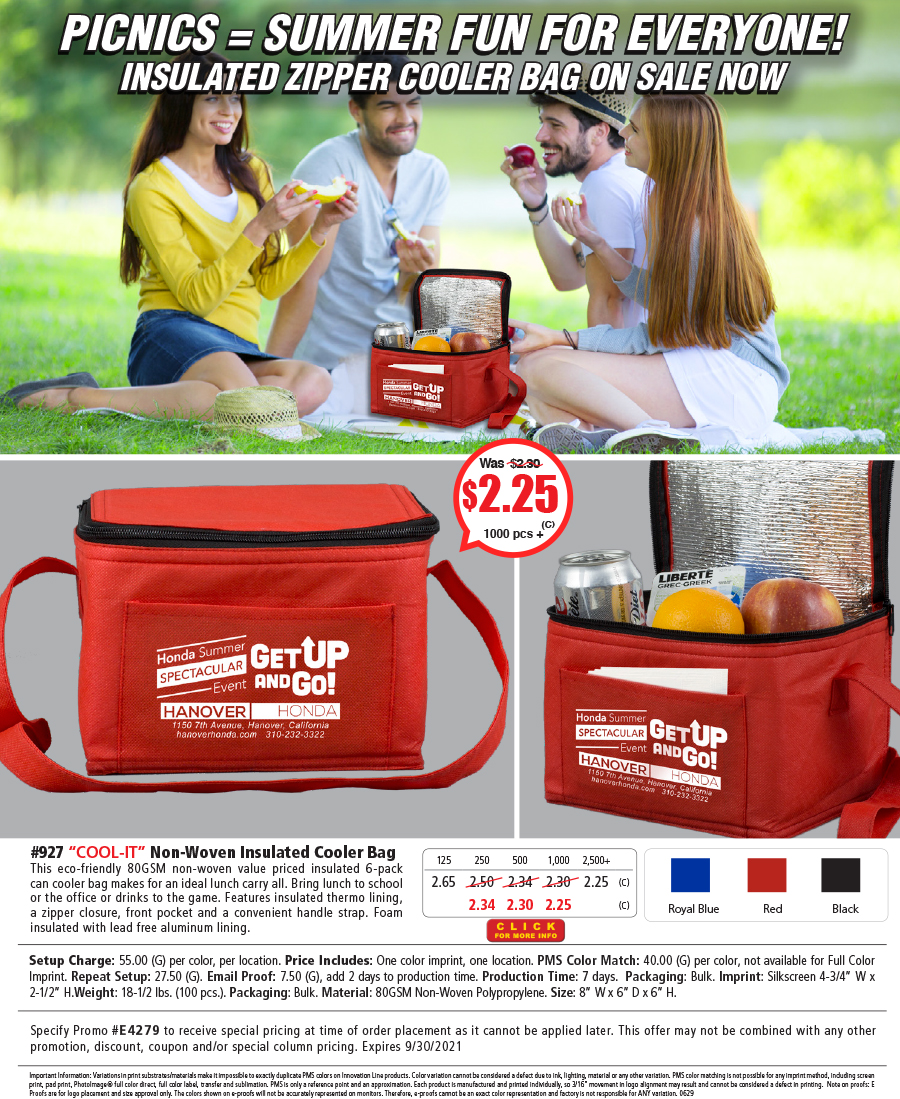 927 80GSM Non-Woven -Cool-it- Insulated Cooler Bag