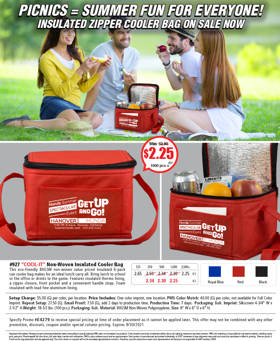 927 80GSM Non-Woven -Cool-it- Insulated Cooler Bag