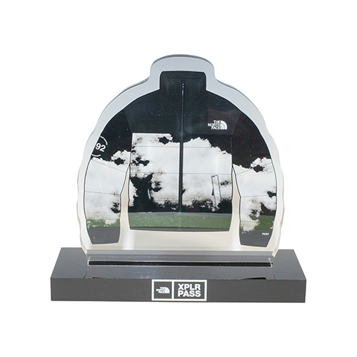 Custom Acrylic Award - 24