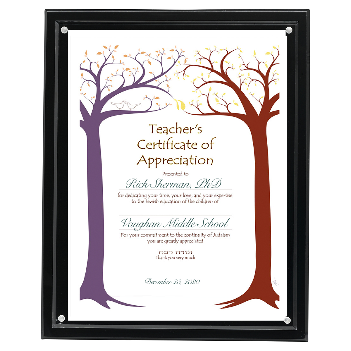 Magnetic Clear on Black Acrylic Certificate Frame (13" x 10 1/2")