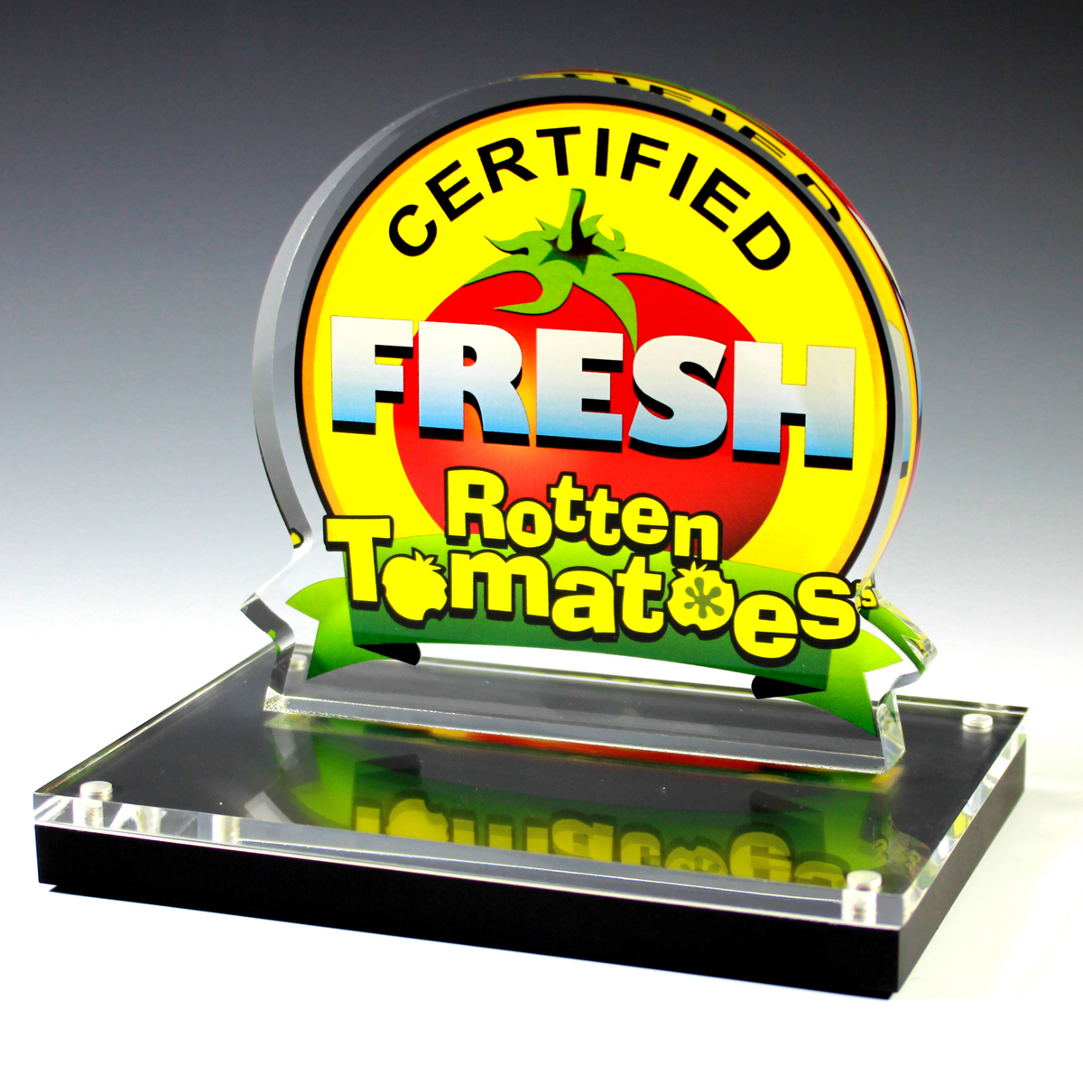 Custom Acrylic Award - 15