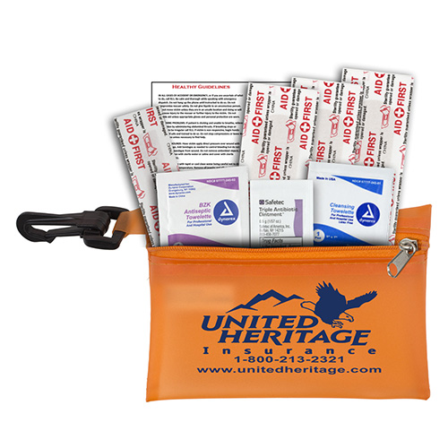 "PARKWAY PLUS" 8 Piece First Aid Kit in Translucent Zipper Pouch with Carabiner