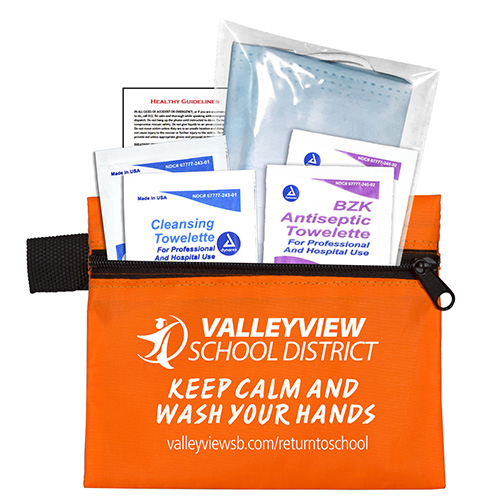 3-Ply Mask & Antiseptic Wipes in Zipper Pouch