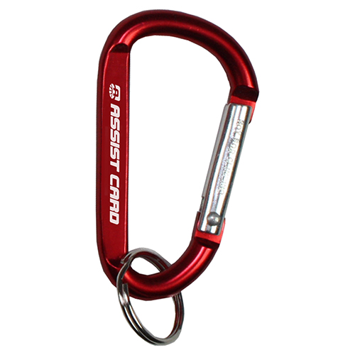 Cara L Large Size Carabiner Keyholder with Split Ring Attachment