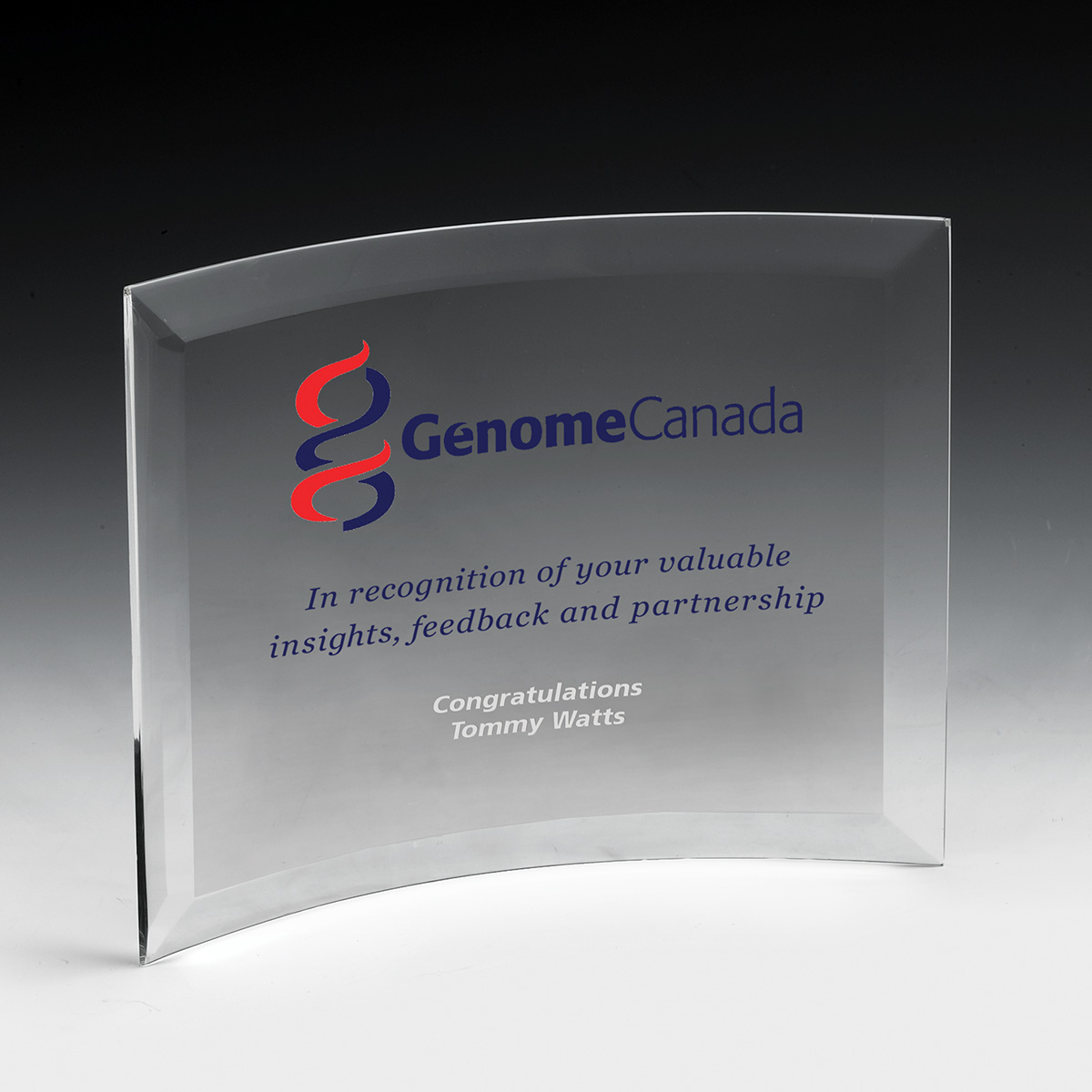 2242S (Screen Print), 2242L (Laser) - Freestanding Curved  Award (6" x 8")