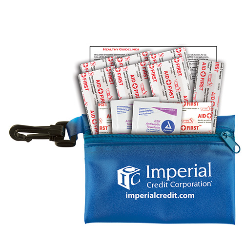 “Troutdale” 13 Piece First Aid Kit Components inserted into Translucent Zipper Pouch with Plastic Carabiner Attachment