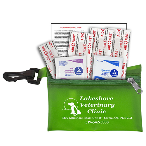 “Parkway” 7 Piece First Aid Kit  Components inserted into Translucent Zipper Pouch with Plastic Carabiner Attachment