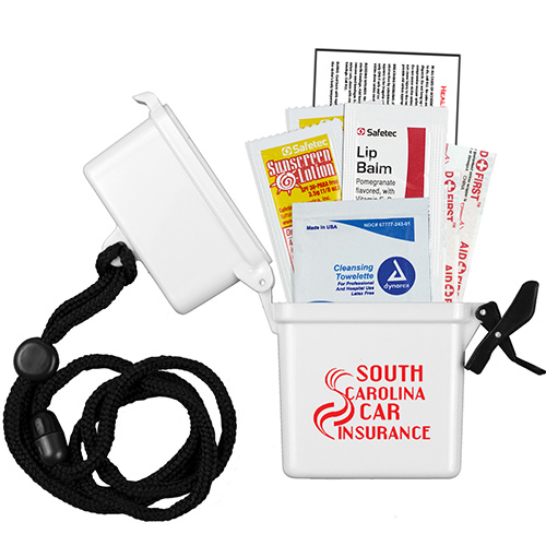 "EZ CARRY KIT 2" 8 Piece First Aid Sun Kit In Hard Plastic Hinged Top Waterproof Container with Free Breakaway Attachment 
